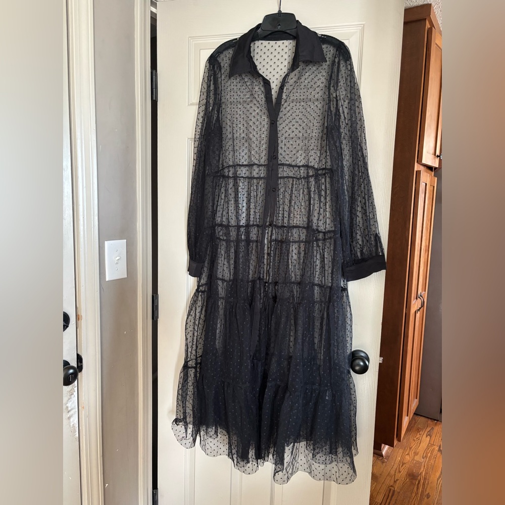 Mesh Belted Dress - Picture 3 of 6